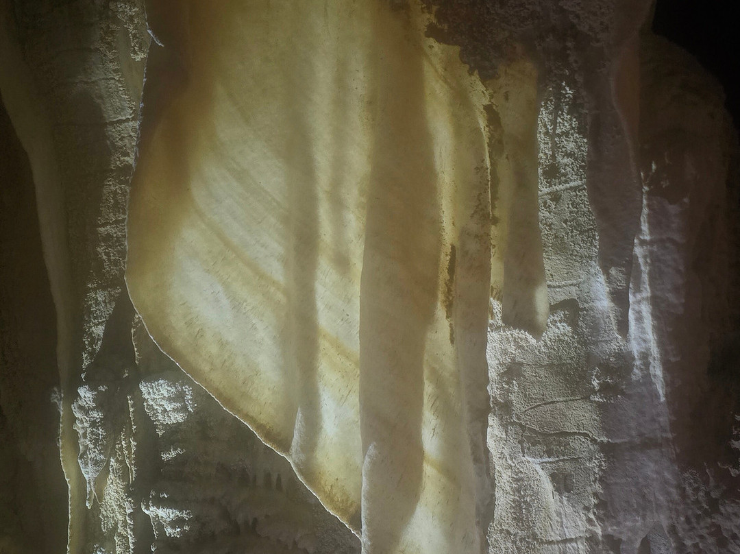 Ruakuri Cave-怀托摩洞穴必去景点