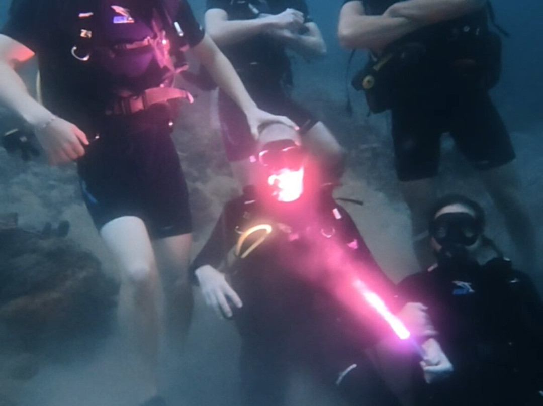 Panama Dive School-博卡斯德尔托罗必去景点