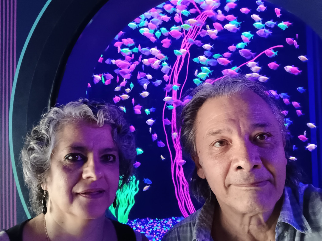Acuario Michin Guadalajara-瓜达拉哈拉必去景点