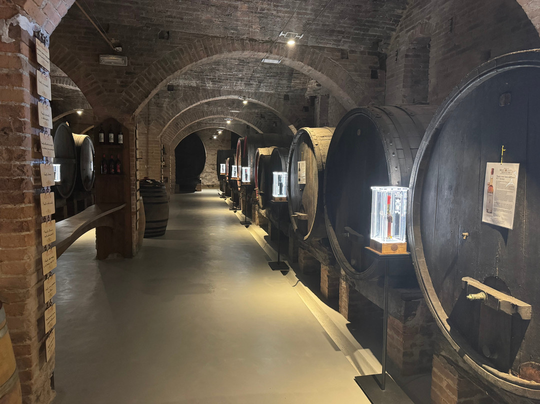 Abbazia di Monte Oliveto Maggiore-阿夏诺必去景点