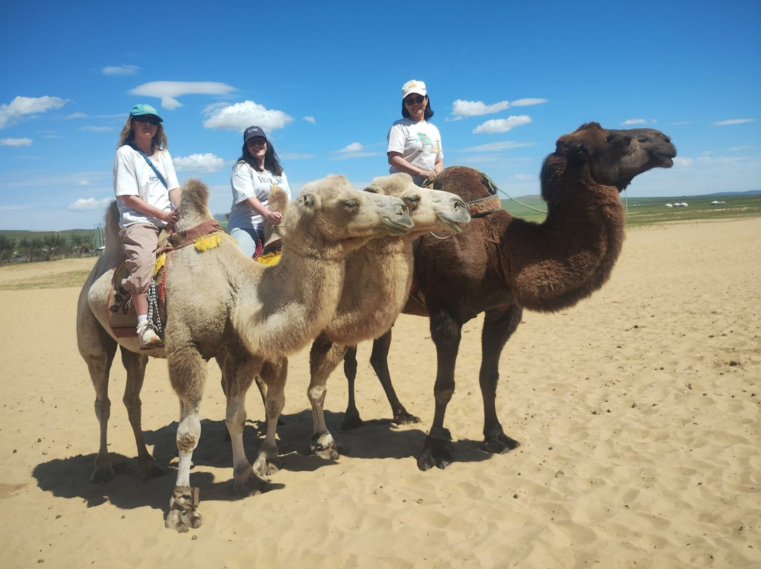 Nur Altai Tour-乌兰巴托必去景点