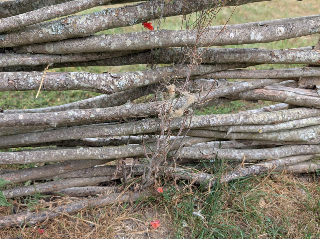 Butser Ancient Farm-Chalton必去景点