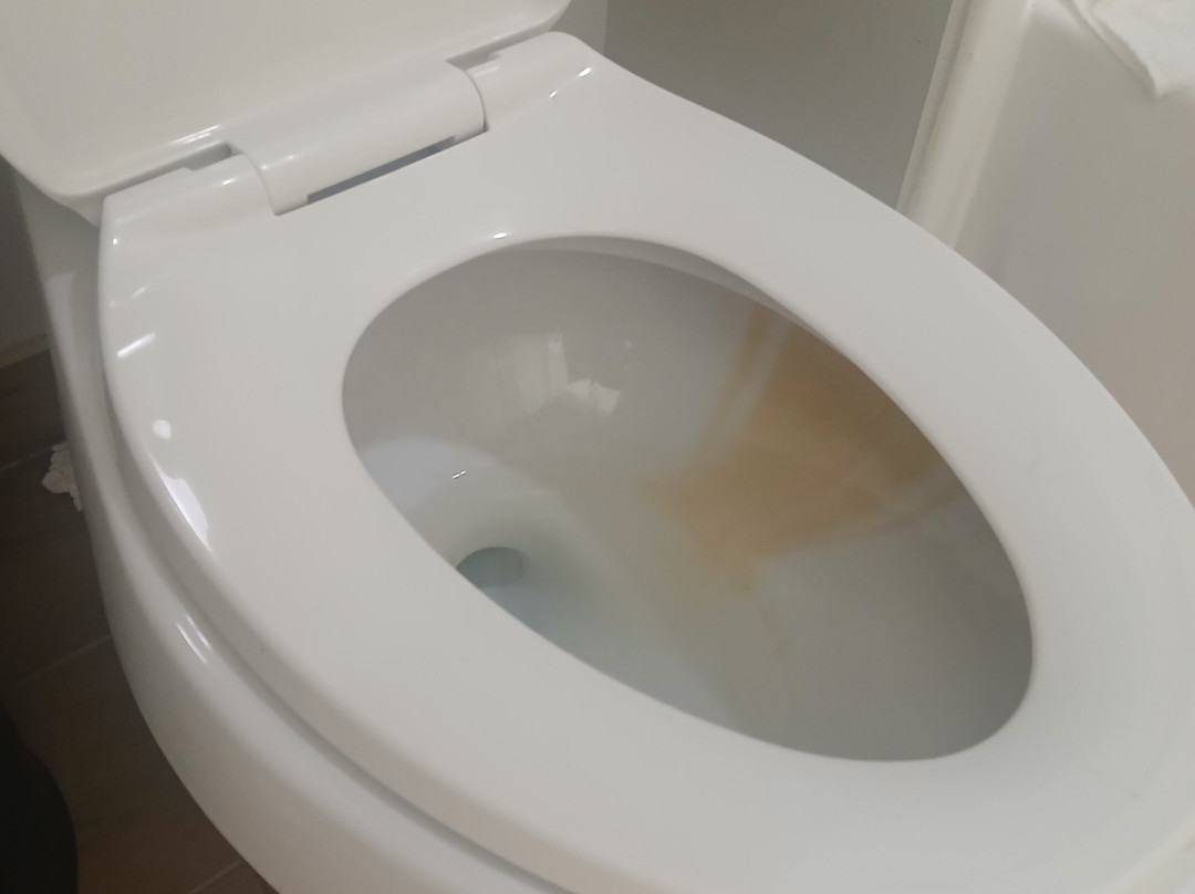 新奥尔良哈维/西岸万豪TownePlace套房酒店主图