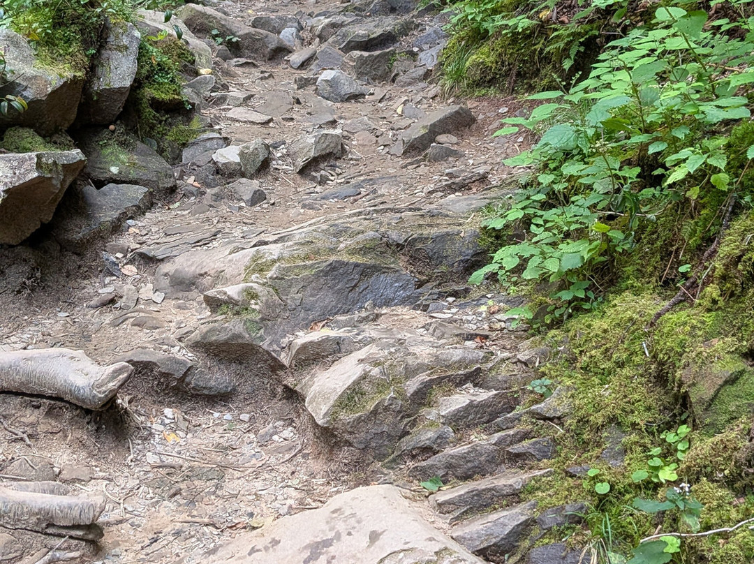 Grotto Falls Trail-大雾山国家公园必去景点