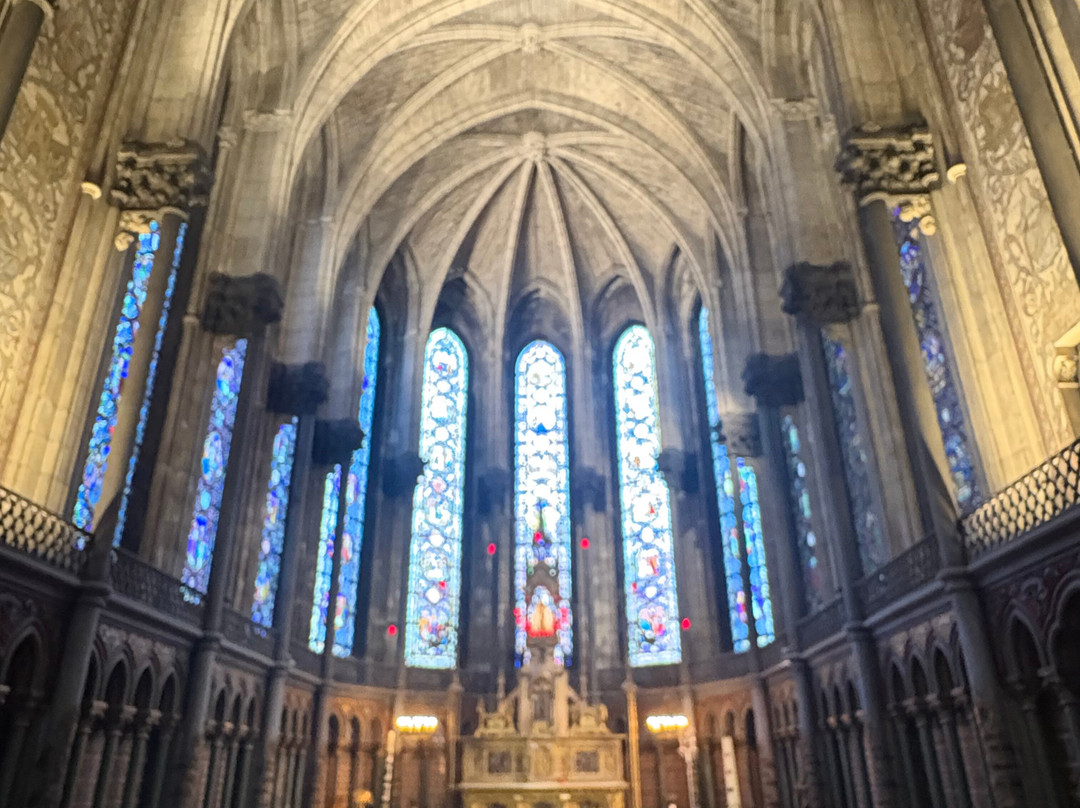Cathedrale de la Treille-里尔必去景点