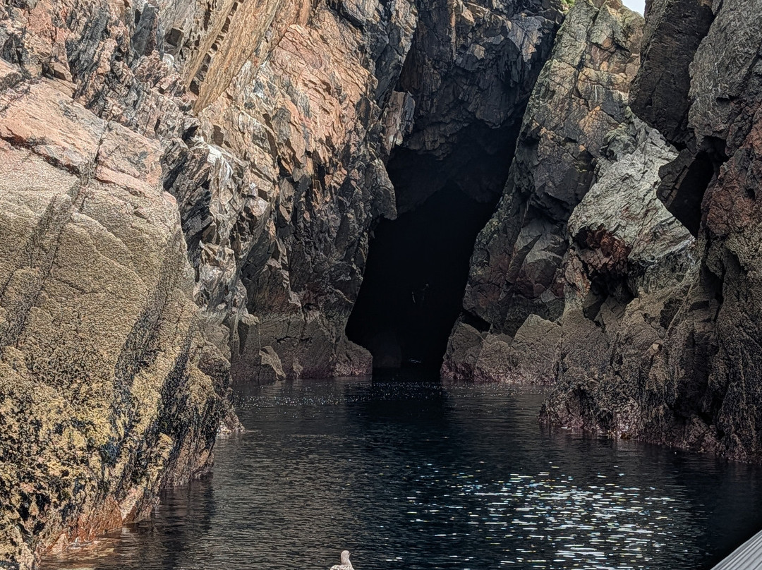 Donegal Sea Adventure-Burtonport必去景点