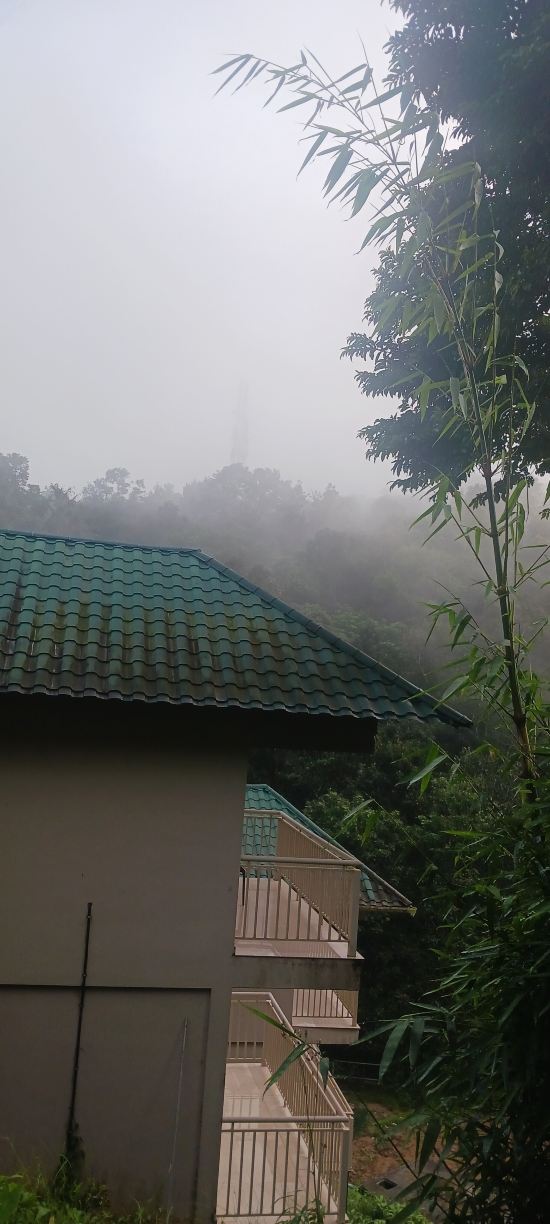 阿韦达满纳山区和雾气-旅行者
