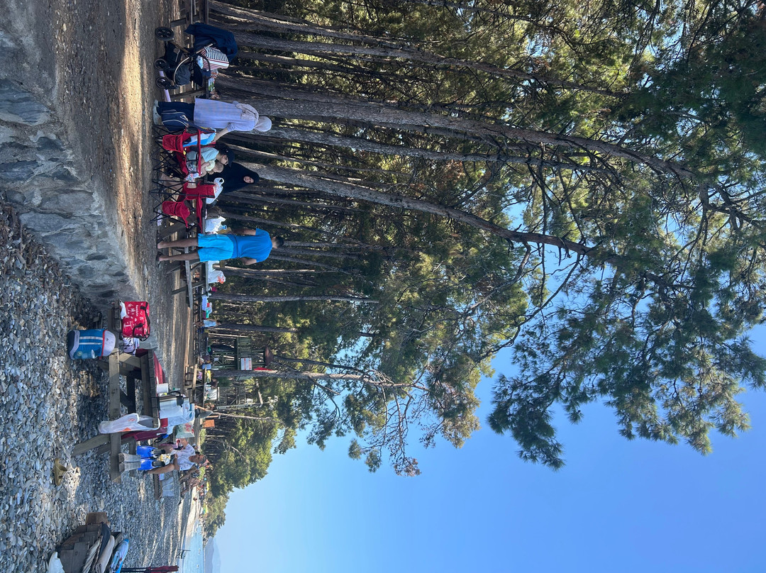 Dilek National Park-Guzelcamli必去景点