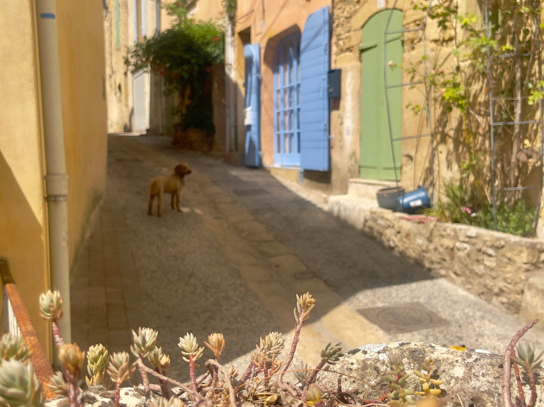 Artelier Provence-Jouques必去景点