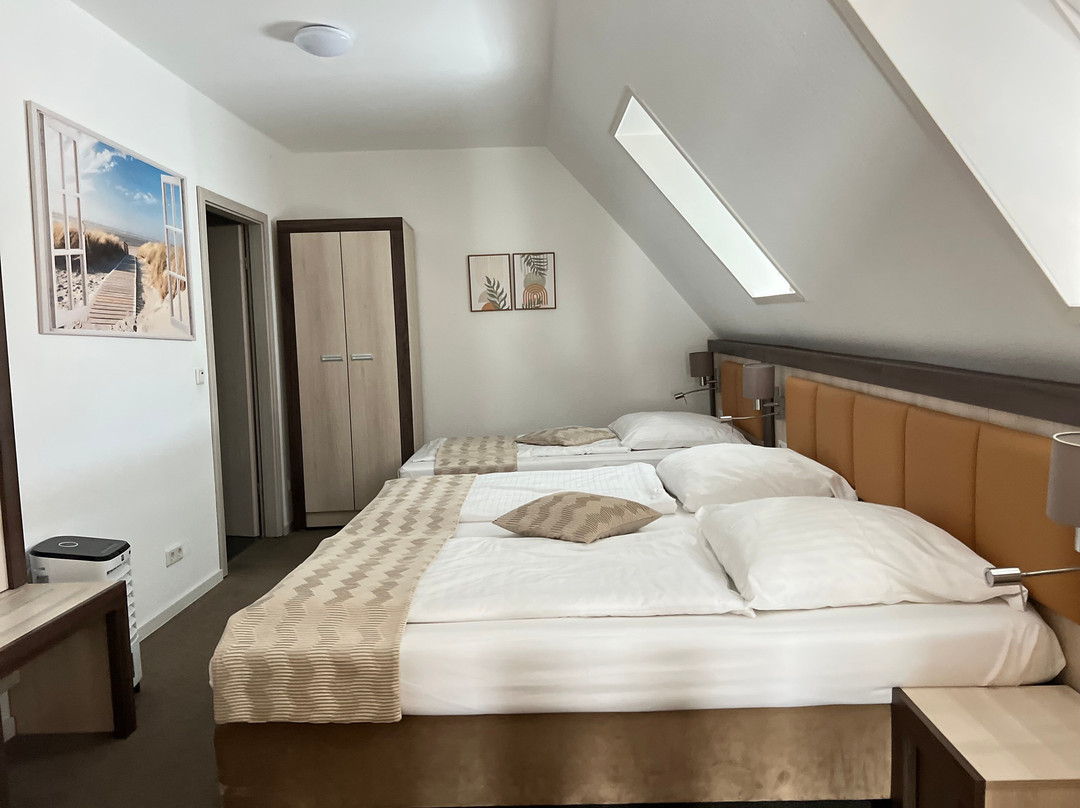 Hotel Am Fischmarkt 酒店阿姆菲舍马克特主图