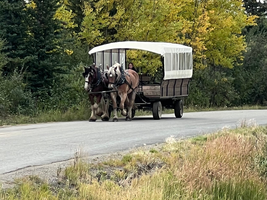 Denali Black Diamond Covered Wagon-Denali Park必去景点