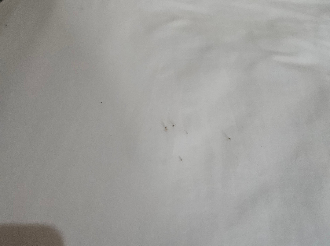 克里斯娜简易别墅和餐厅主图