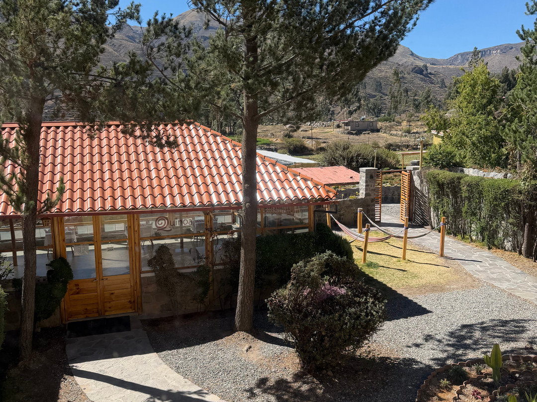 齐拉瓦斯山林小屋主图