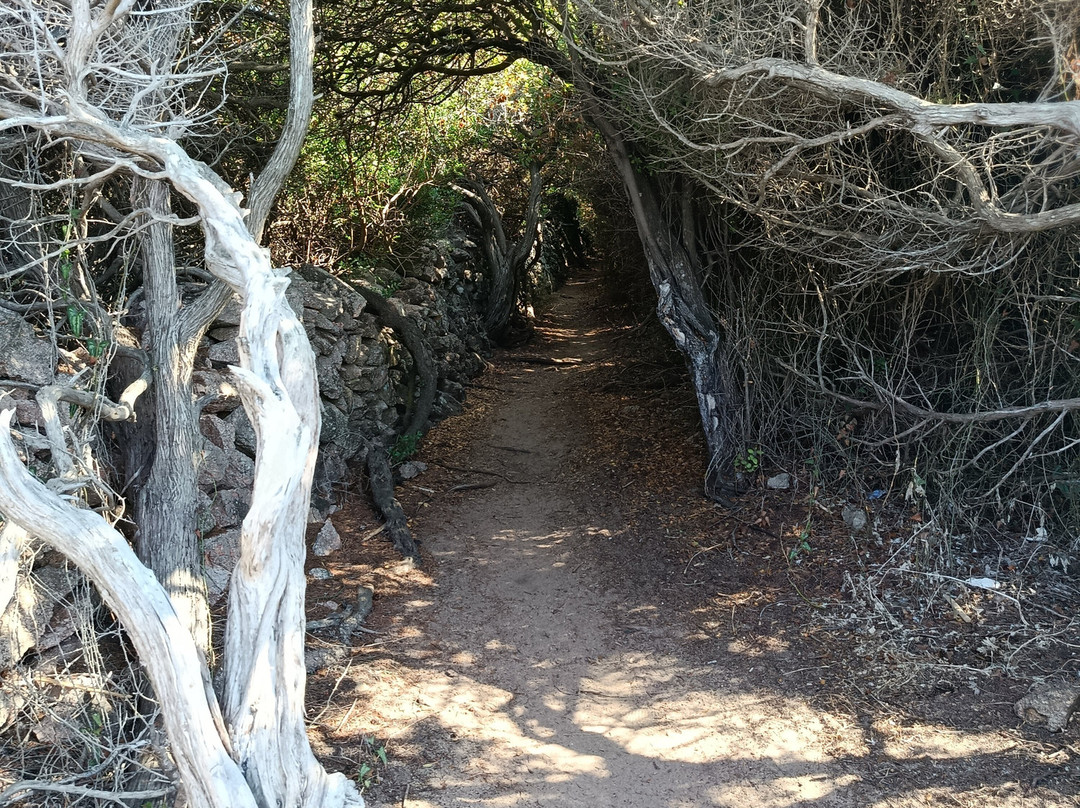 Spiaggia Portobello di Gallura-Portobello必去景点