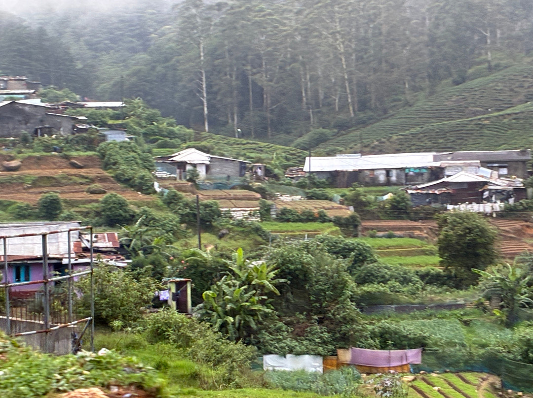 BH Lanka Tours-Kurunegala必去景点