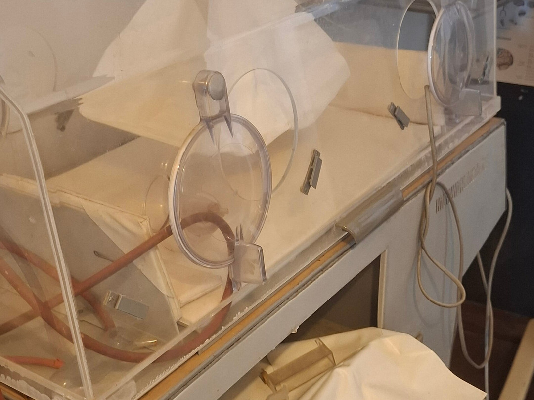 Kyriazis Medical Museum-拉纳加必去景点