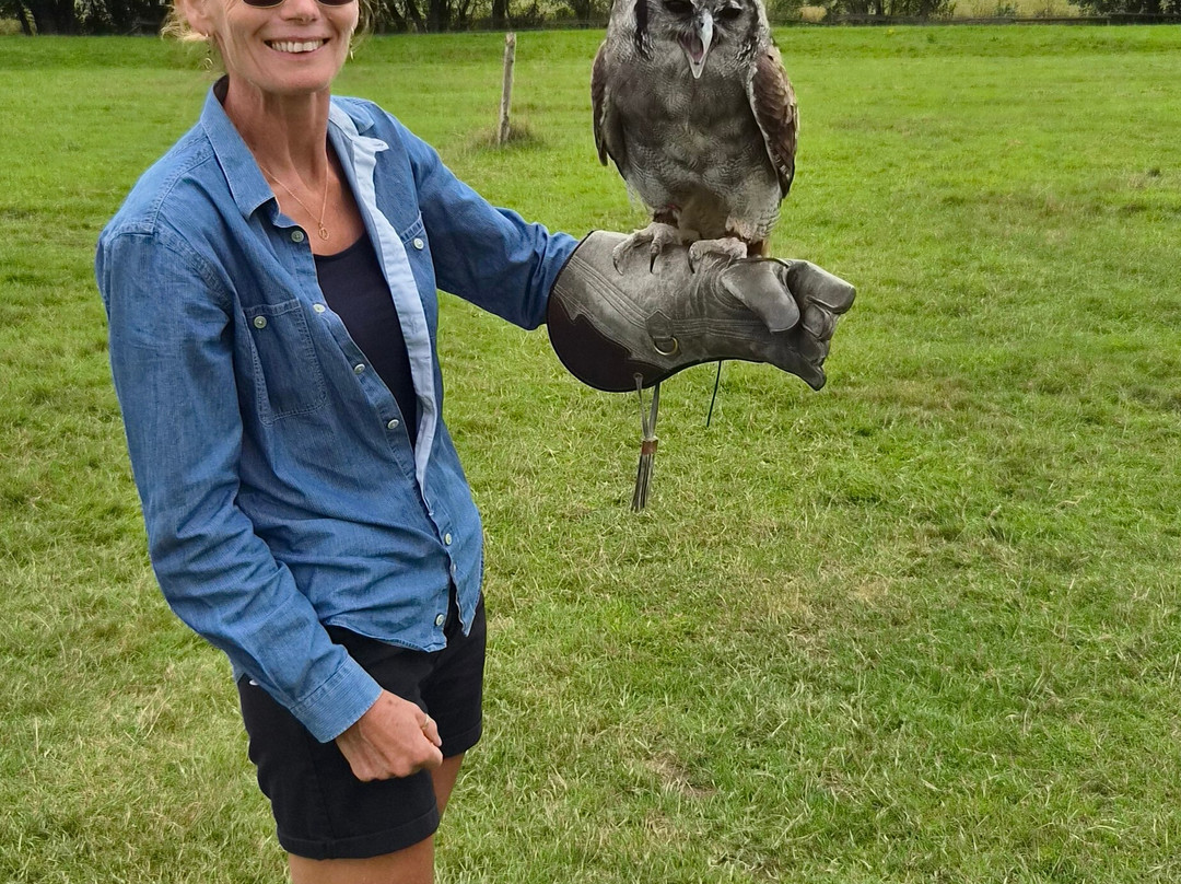 UK Owl And Raptor Centre-Groombridge必去景点