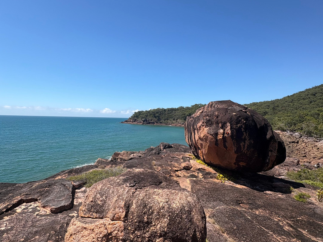 Absolute North Charters-Hinchinbrook Island必去景点