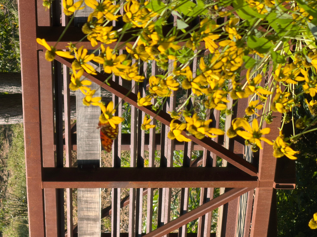 Asheville Botanical Garden-阿什维尔必去景点
