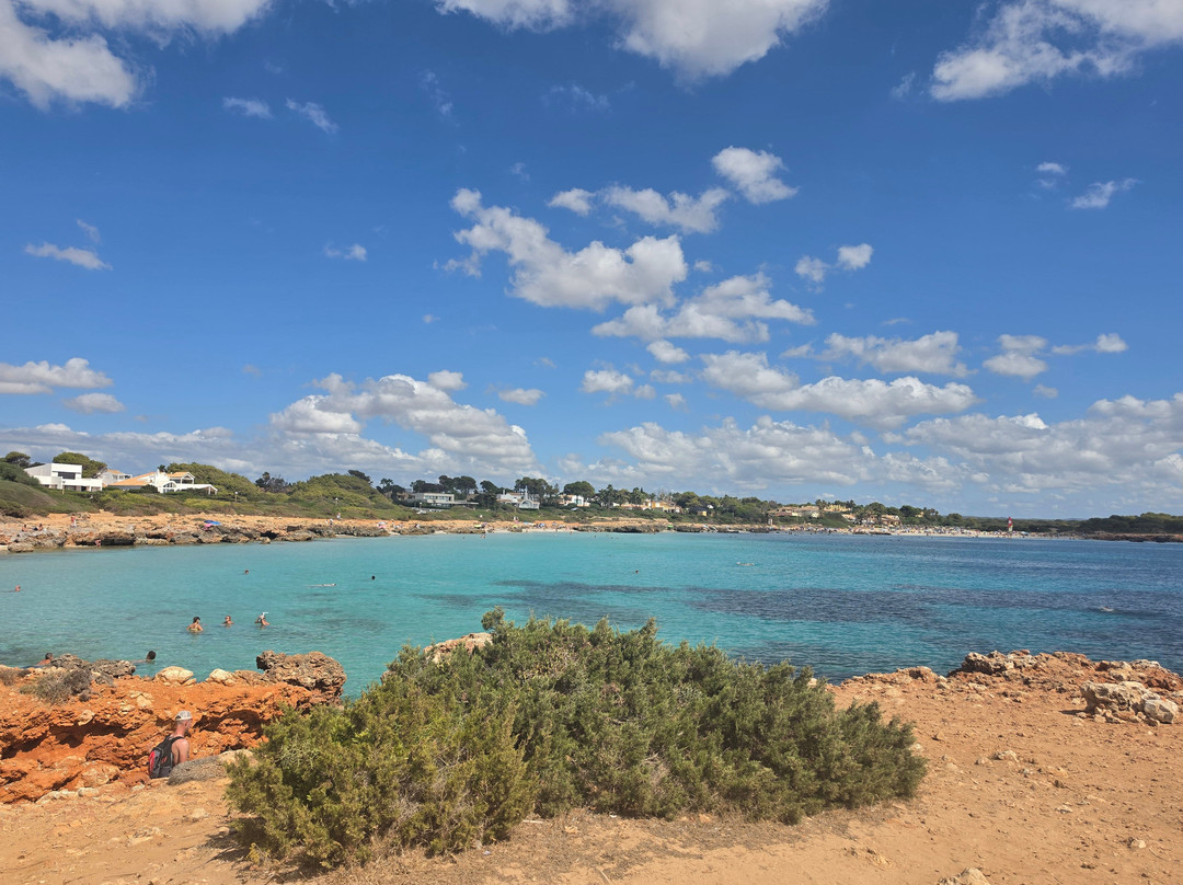 Platja de Son Xoriguer-卡兰博希必去景点