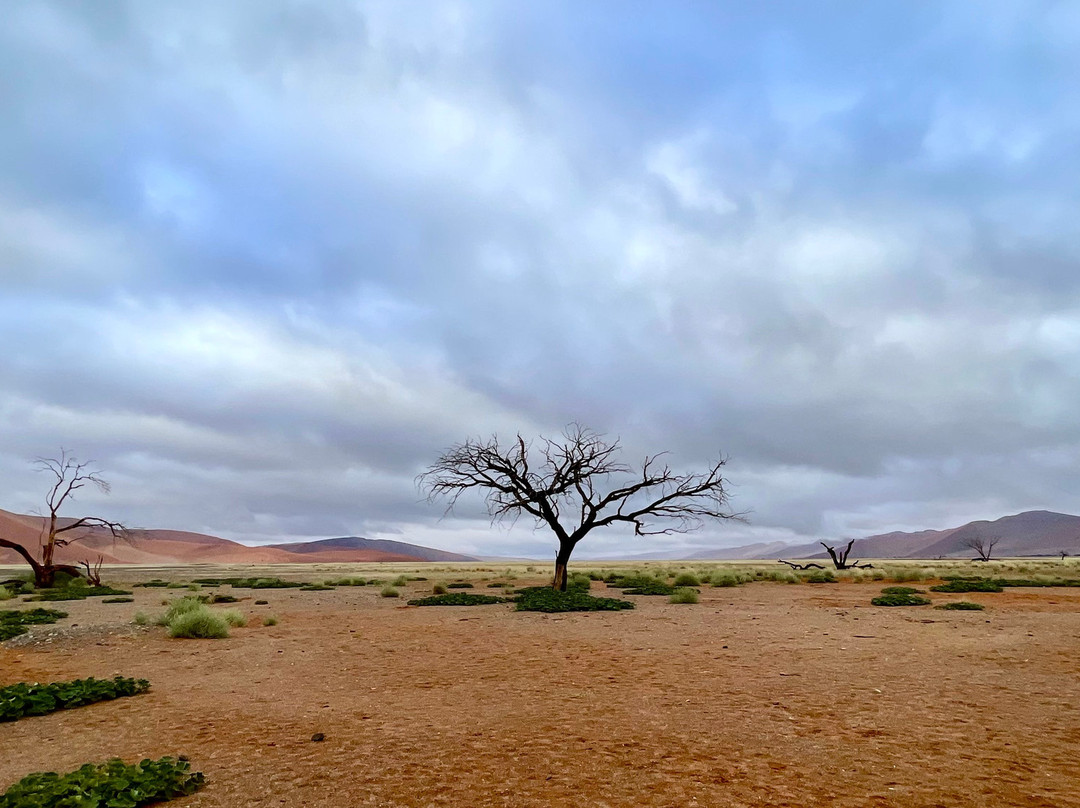 Sossusvlei-Namib-Naukluft Park必去景点