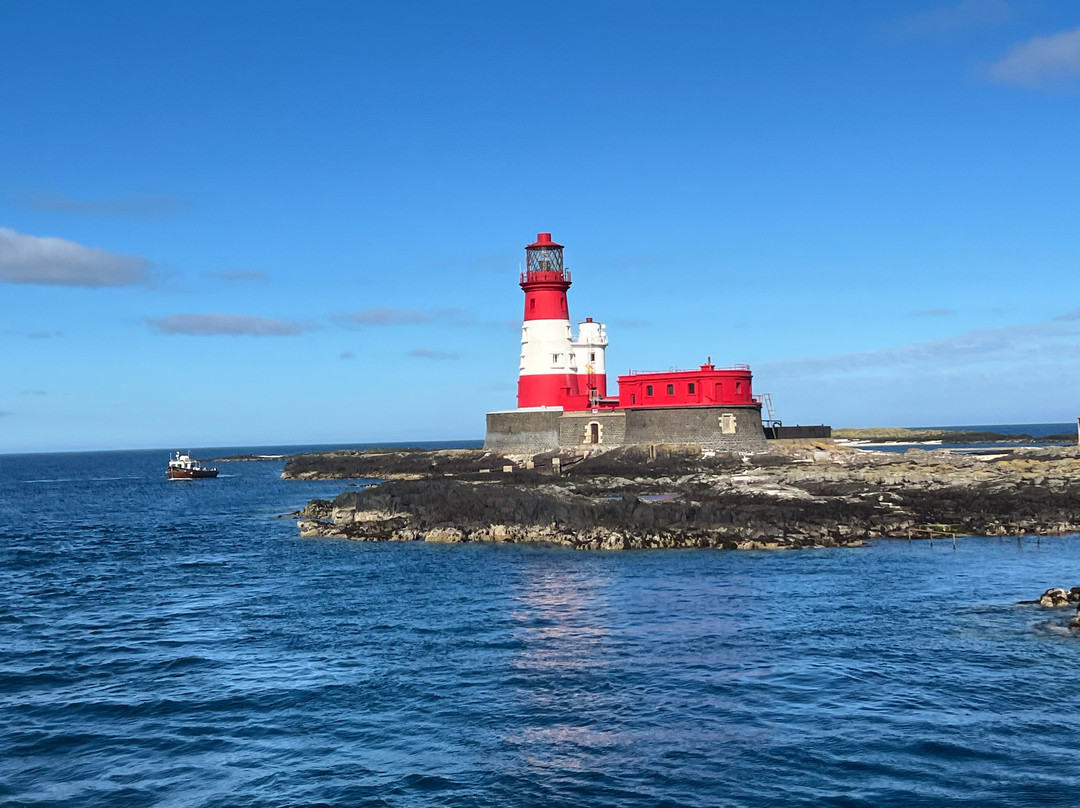 Serenity Farne Island Boat Tours-Seahouses必去景点