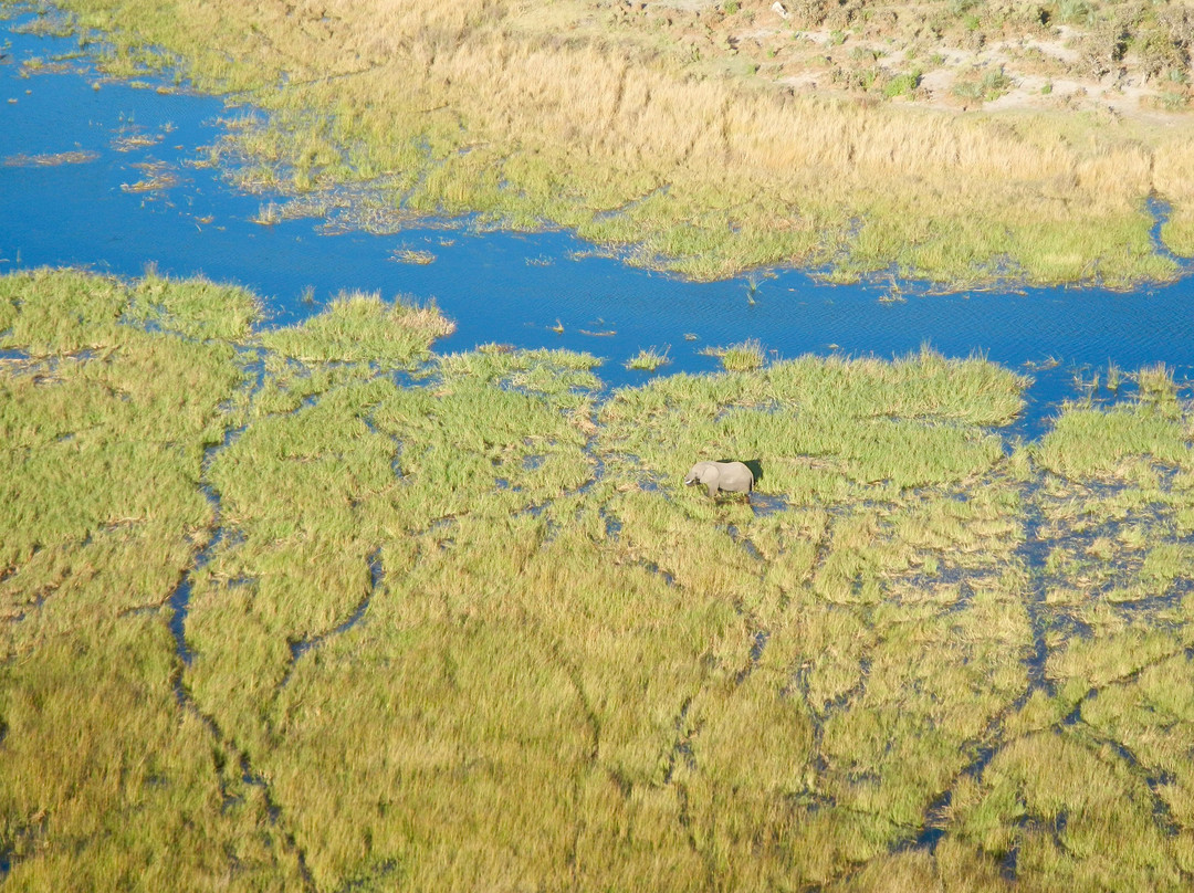 Okavango Delta-马翁必去景点