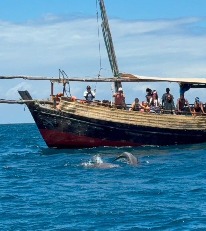 Wasini sea safaris-Wasini Island必去景点