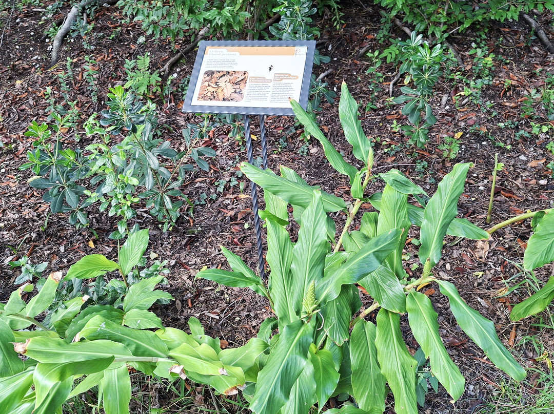 Arboretum of Arco-阿科必去景点