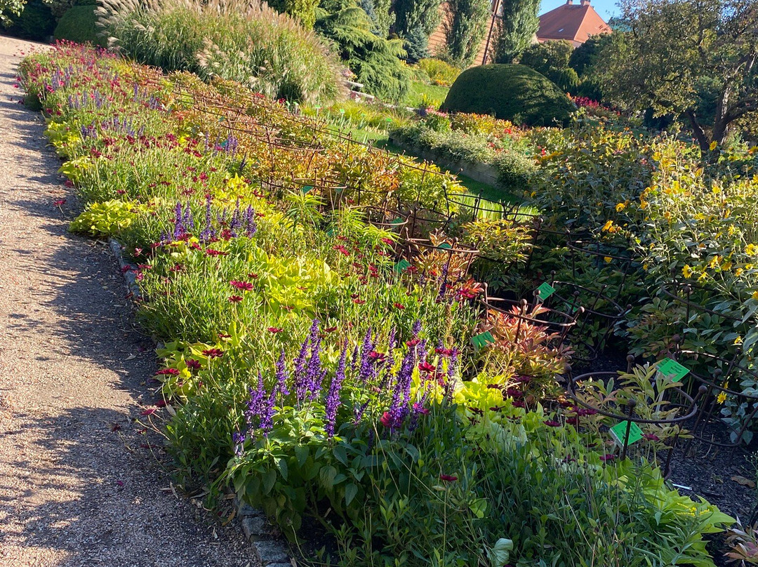 Botanical Garden of the University of Wrocław-弗罗茨瓦夫必去景点
