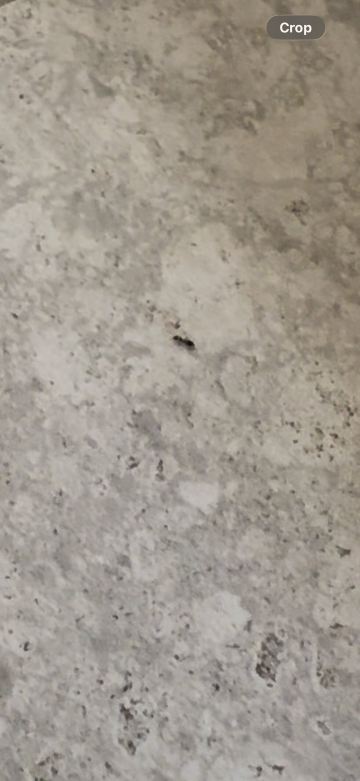 科拉尔维尔凯悦酒店及会议中心-旅行者