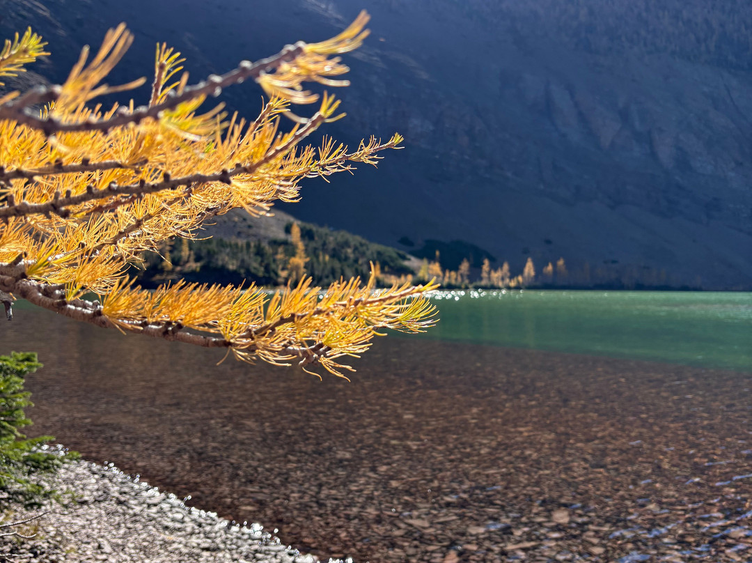 Tamarack Adventures: Waterton Guided Hiking & Kayak Tours – Local Expert Experience-Waterton必去景点