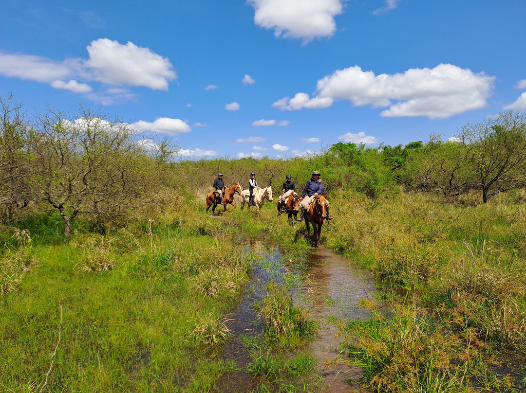Estancia Buena Vista