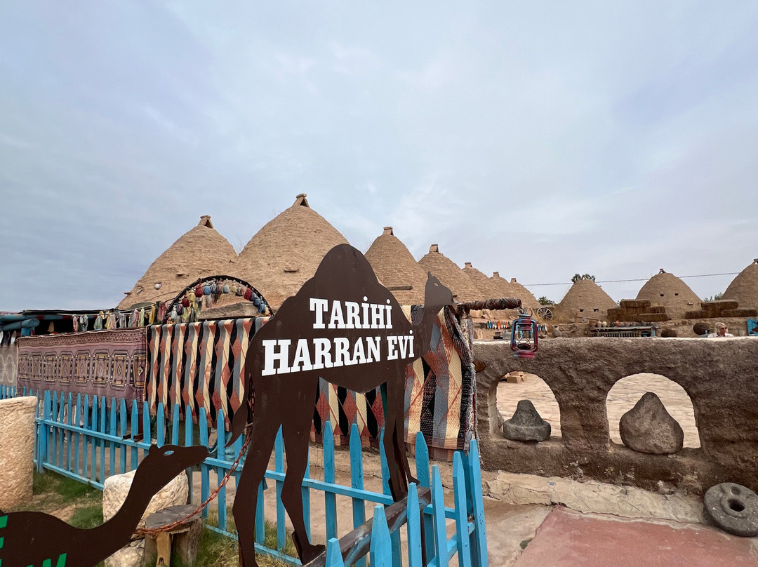 Harran Ruins-Harran必去景点