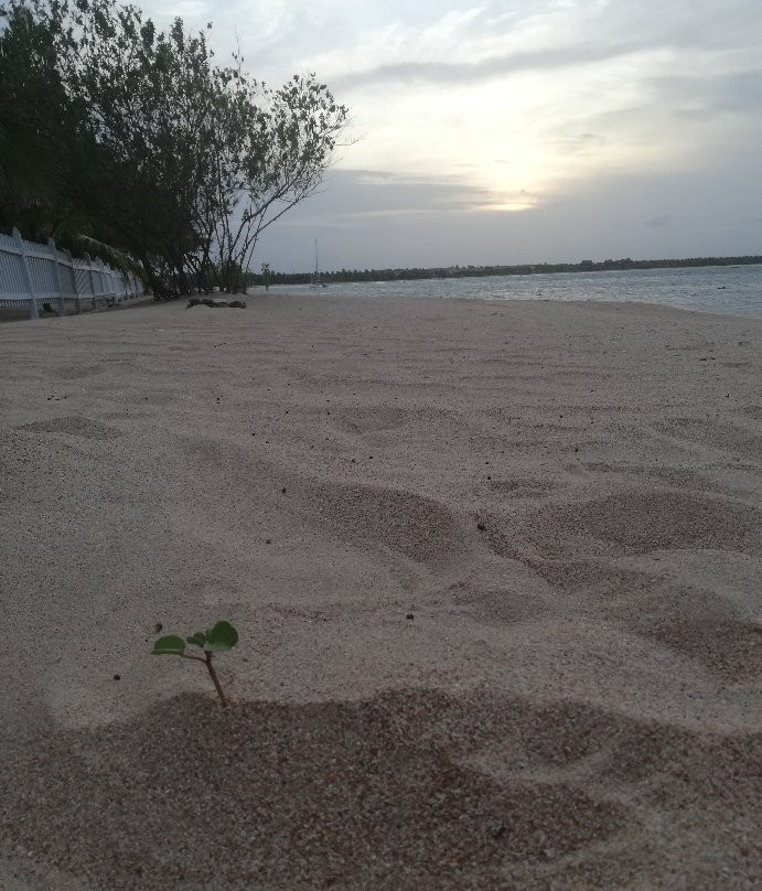 Passikudah Beach-卡尔库达必去景点