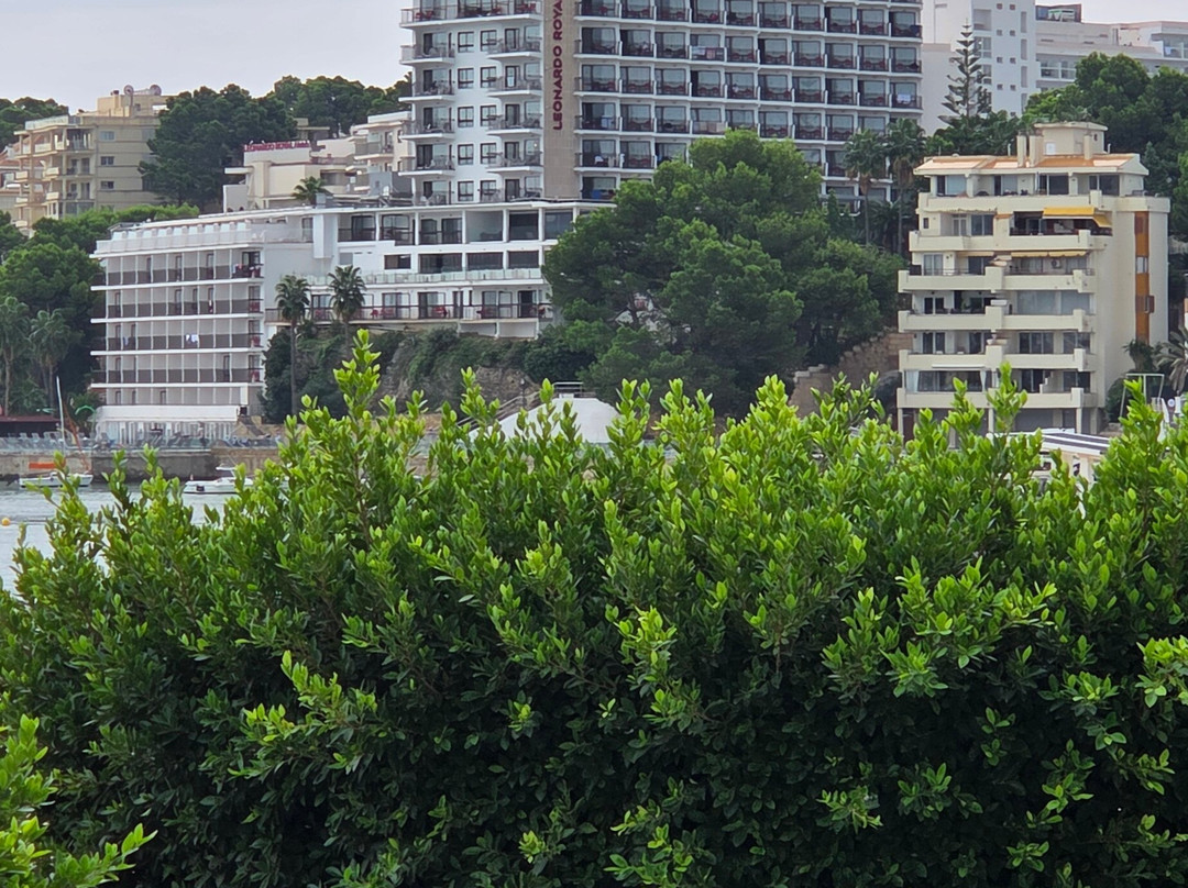 松马提亚斯海滩酒店 - 限成人入住主图