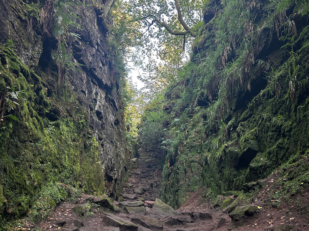 Lud's Church-Gradbach必去景点