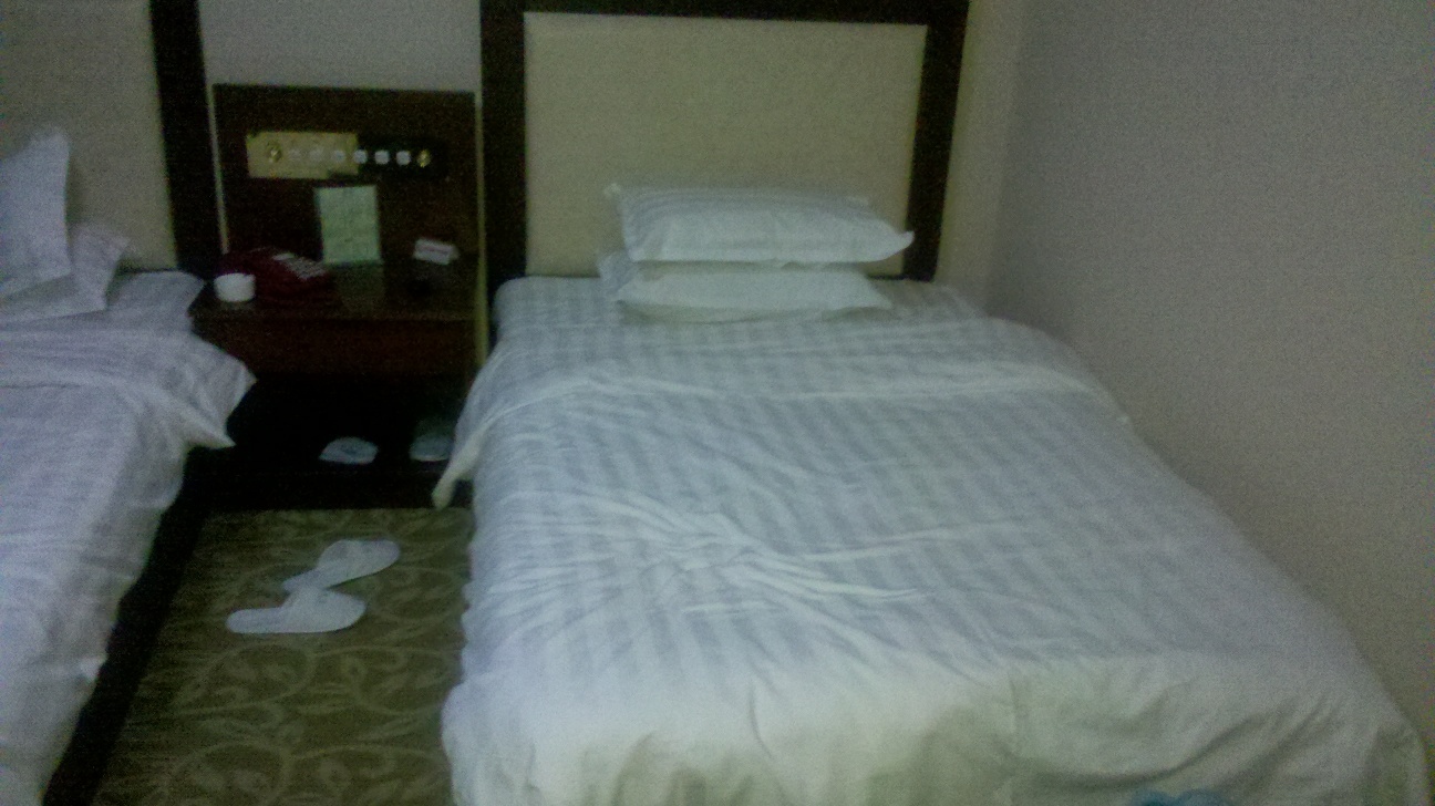 赤峰北王府酒店-客卧