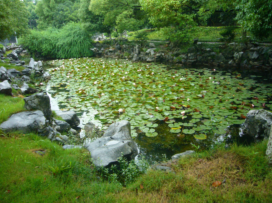衢州市酒店住宿-衢州饭店