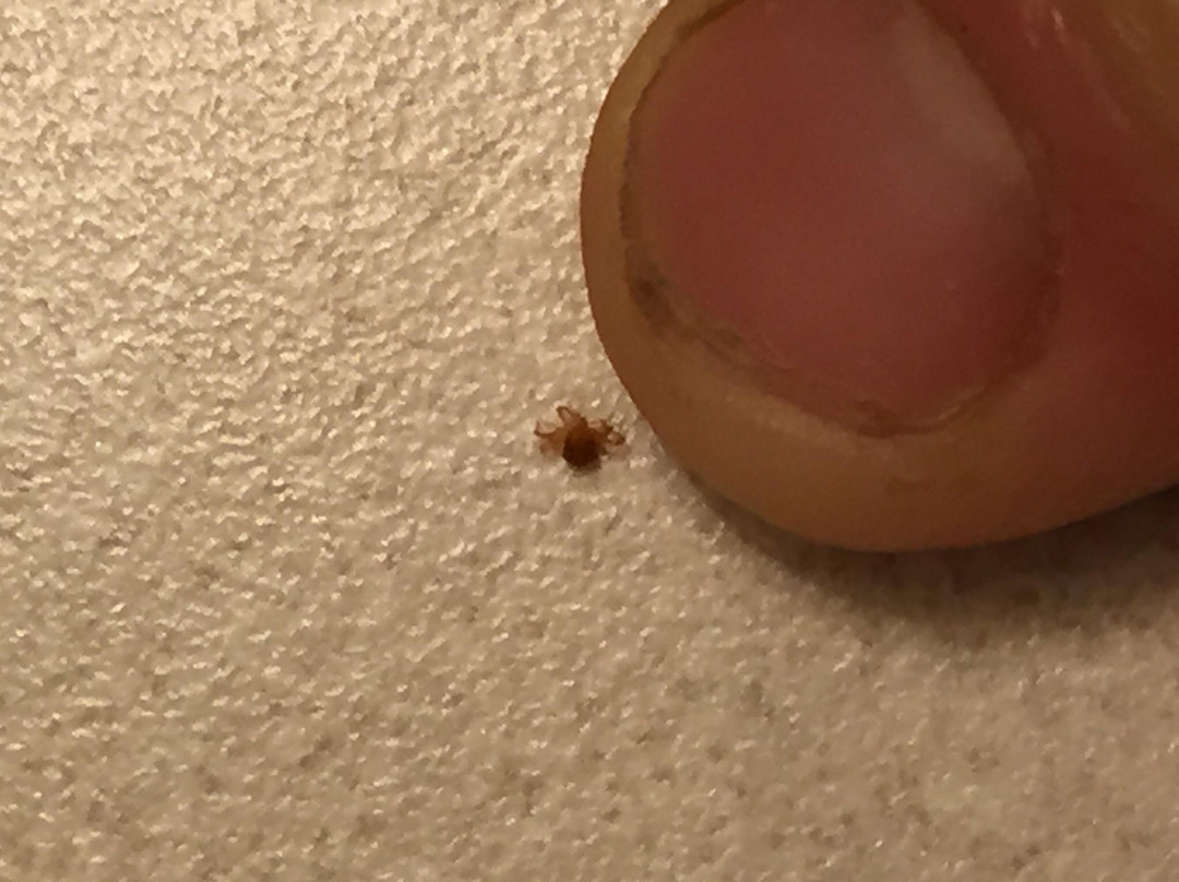 Caroline Gateway Motel