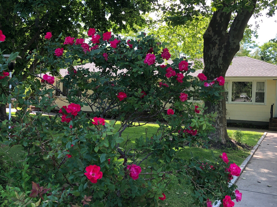 Greenport酒店住宿-Drossos Motel