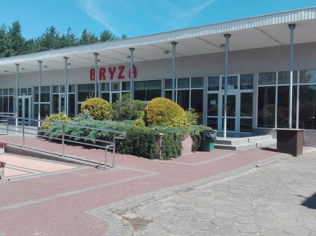 Bryza