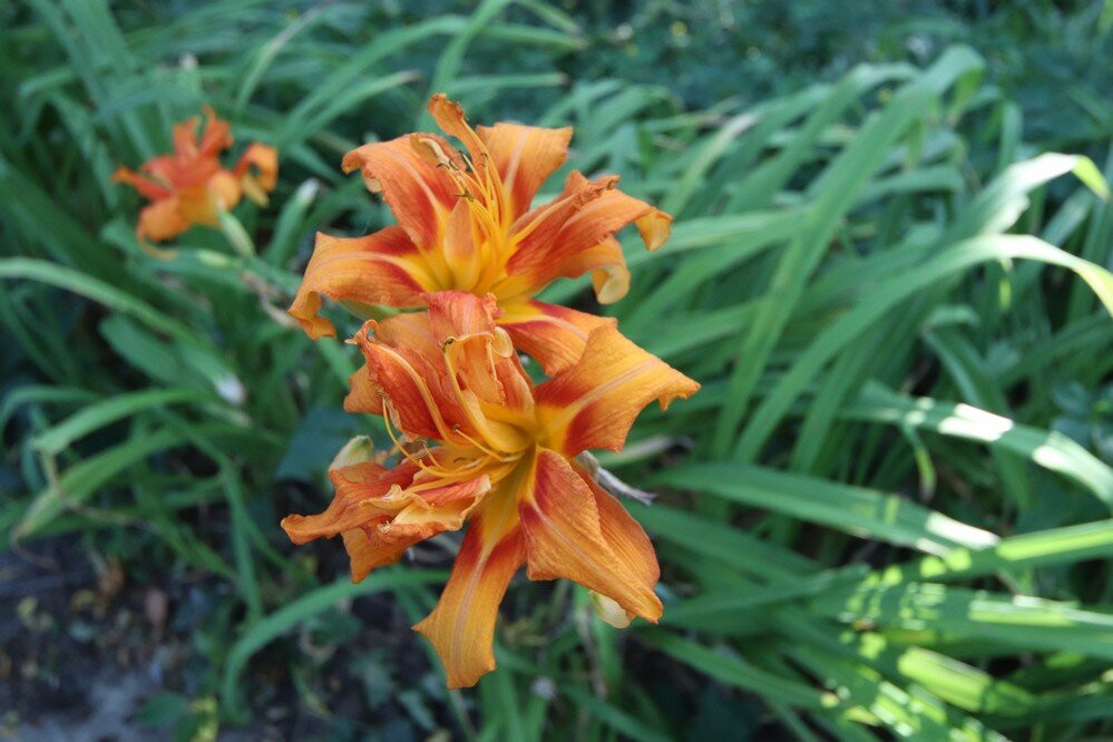 John Nemy Nature Trail-方特希尔必去景点