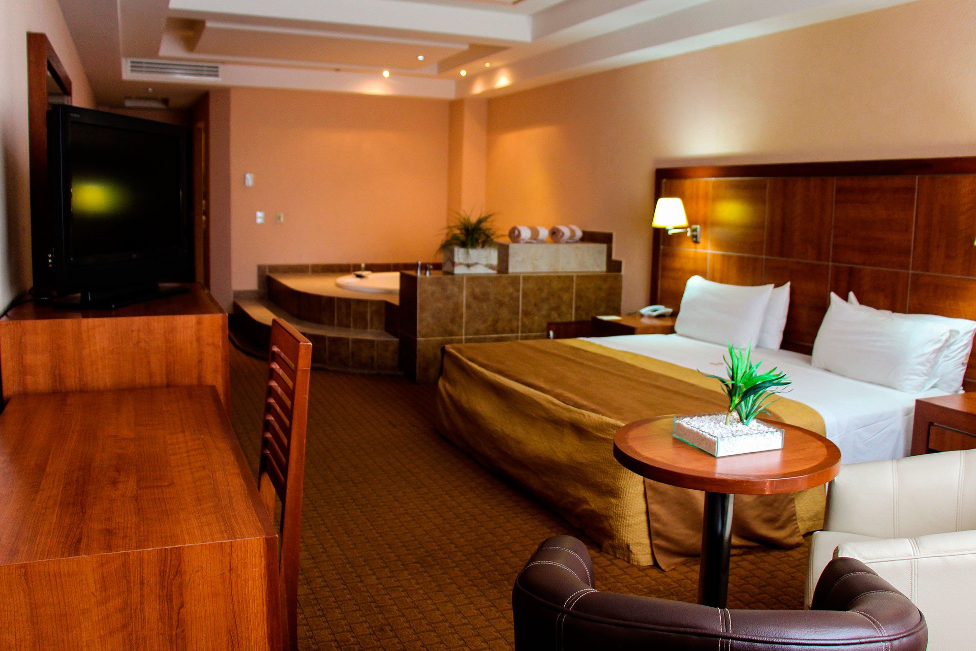 Hotel Soleil Celaya-官方