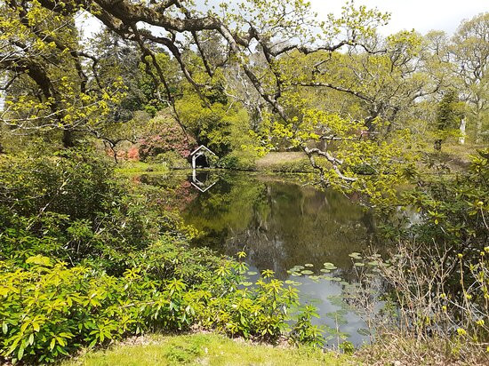 Bargany Gardens景点图片