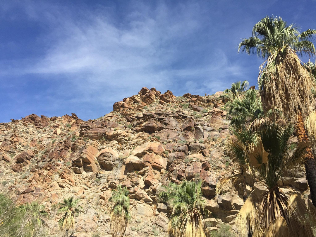 Murray Canyon Trail
