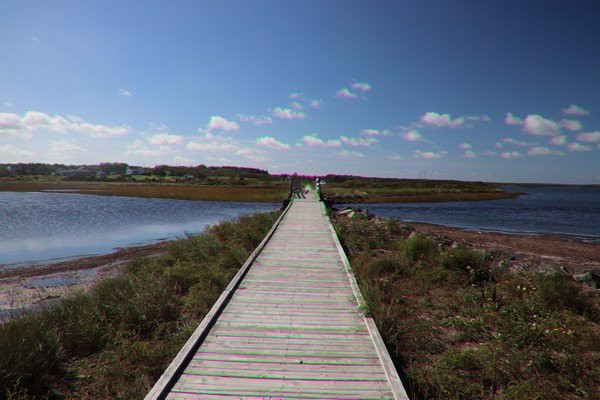 Dominion Beach Provincial Park景点图片