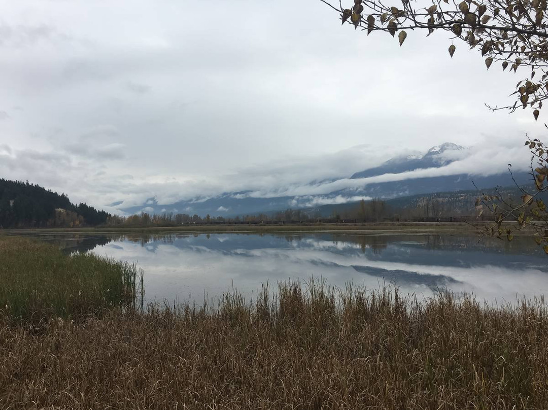 Reflection Lake景点图片