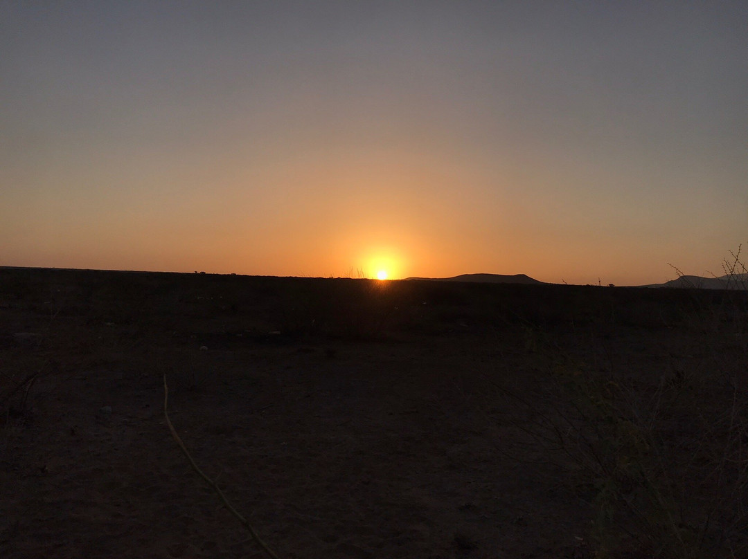 Yangudi Rassa National Park景点图片