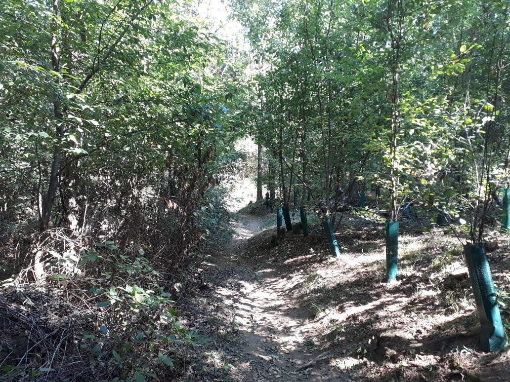 Parco Agricolo Nord Est景点图片